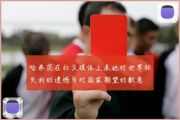 哈弗茨在社交媒体上表达对世界杯失利的遗憾与对国家期望的歉意